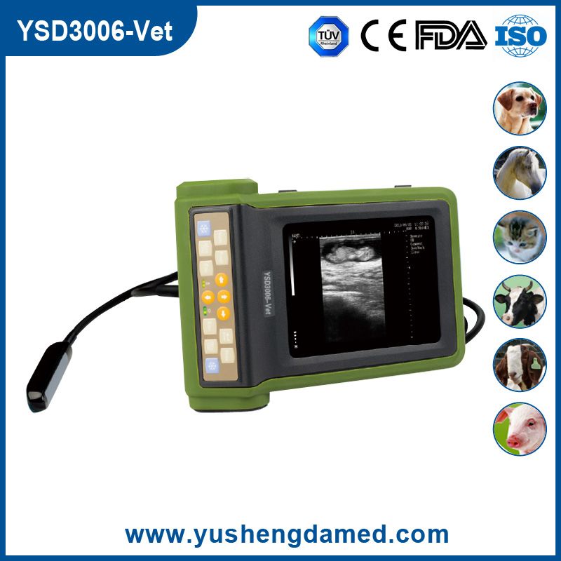 Ysd4200 Ce ISO Approved Full Digital Diagnostic Ultrasound System